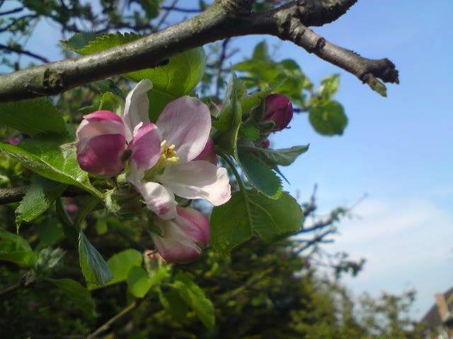 DSC00958.jpg
