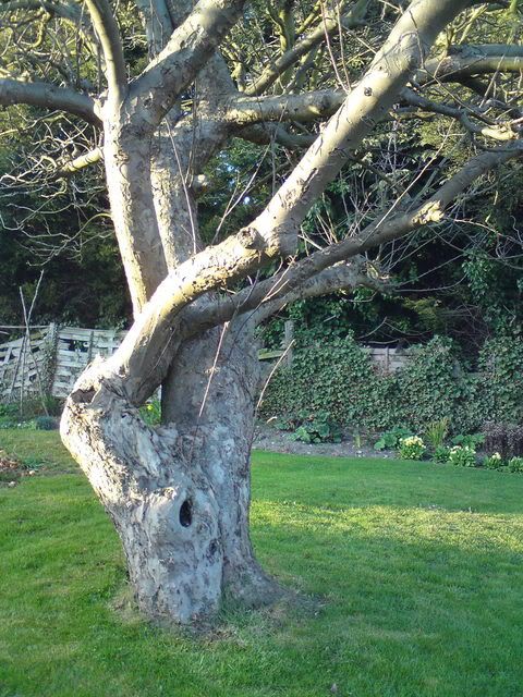 DSC00729.jpg