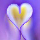 purpleflowerheart.png