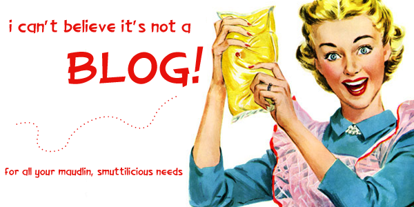 i can't believe it's not a BLOG! - it's probably about romance novels or something...