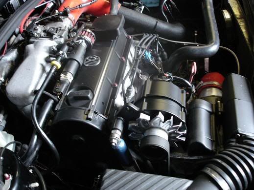 alternatorpaintedandenginebay1.jpg