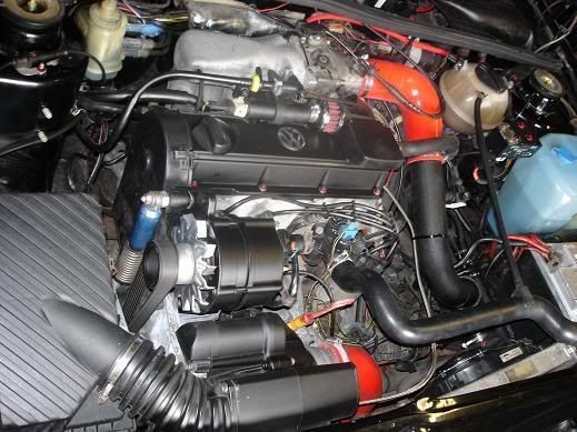 alternatorpaintedandenginebay2.jpg