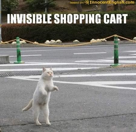 cat-pushing-invisible-shoppingcart.jpg