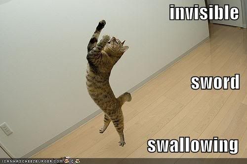funny-pictures-invisible-sword-swal.jpg