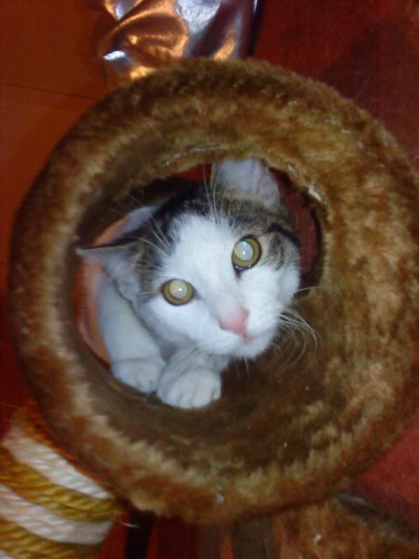 DSC05680.jpg