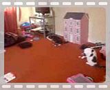 th_MOV04243.jpg