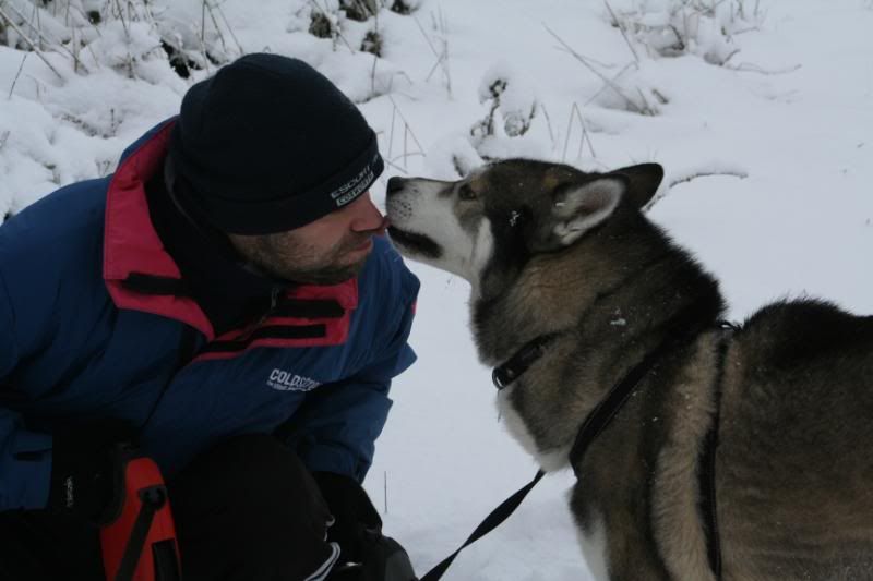 dogsinthesnow19dec2010085.jpg