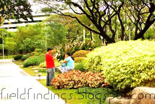 Bringing In the Outdoors: Ayala Triangle Gardens