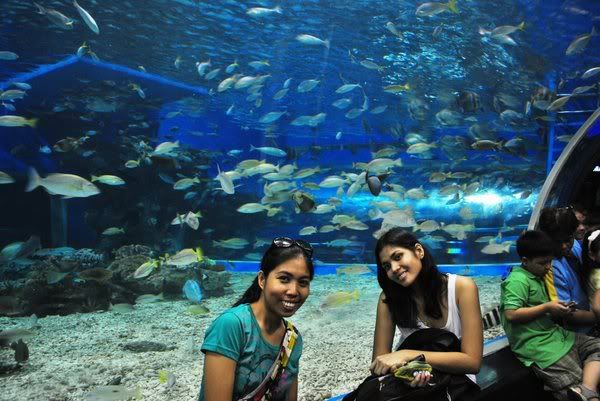 len and reg @ manila ocean park