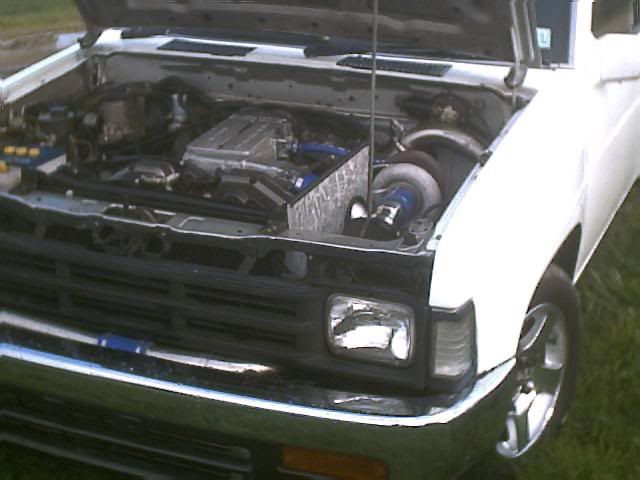 another photo Image15.jpg