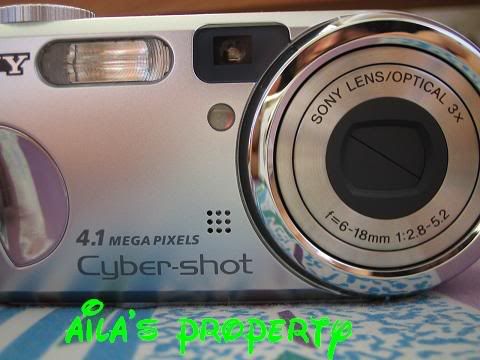 Image hosted by Photobucket.com