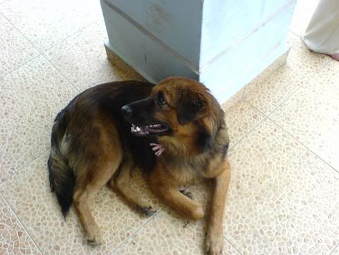 Image hosting by Photobucket