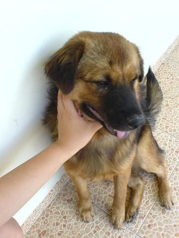 Image hosting by Photobucket