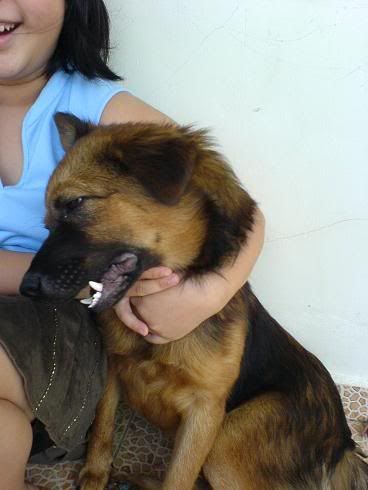 Image hosting by Photobucket