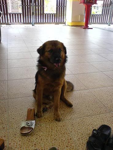 Image hosting by Photobucket