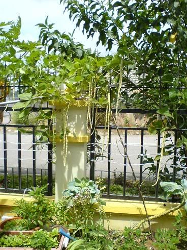 Image hosting by Photobucket