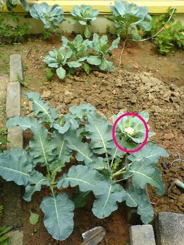 Image hosting by Photobucket