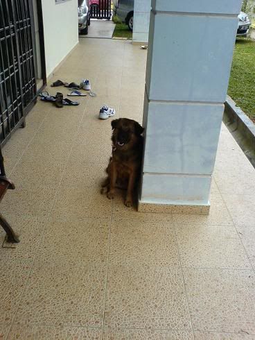 Image hosting by Photobucket