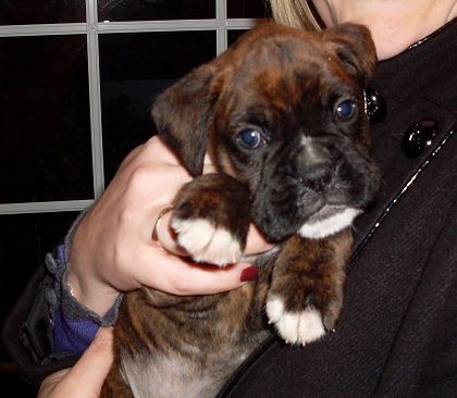 Finlay2.jpg