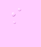 FlowersBundle.gif