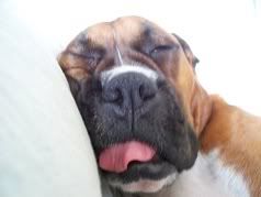 cooper3.jpg