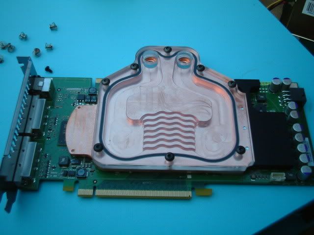 DSCF0007-1.jpg