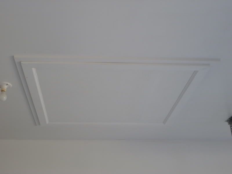 P1000199-1.jpg