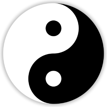 image of a black and white yin-yang symbol