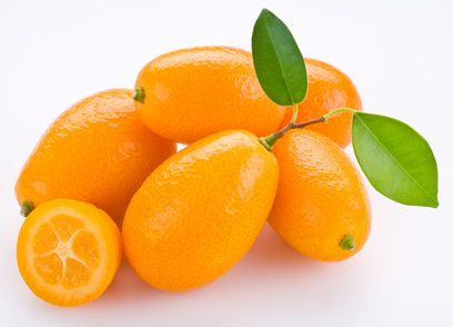 image of kumquats