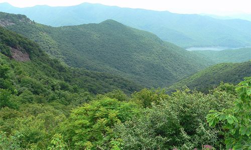 image of a landscape featuring forested mountains