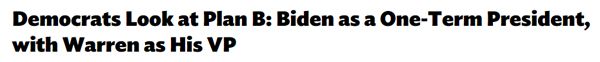 screen cap of a headline reading: 'Democrats Look at Plan B: Biden as a One-Term President, with Warren as His VP'