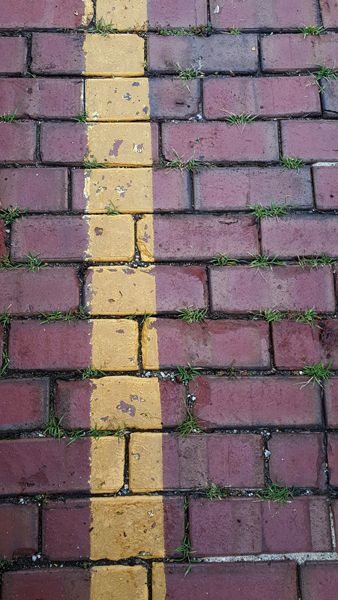 image of a red brick pavement, with little sprouts of green grass growing between the bricks and a yellow painted line running vertically through the image