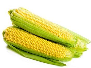 image of corn on the cob