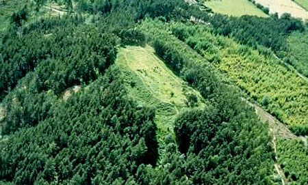image of Craig Phadrig, a forested hill outside Inverness, Scotland, with a vitrified fort its summit