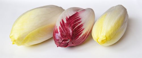 image of three uncooked endives