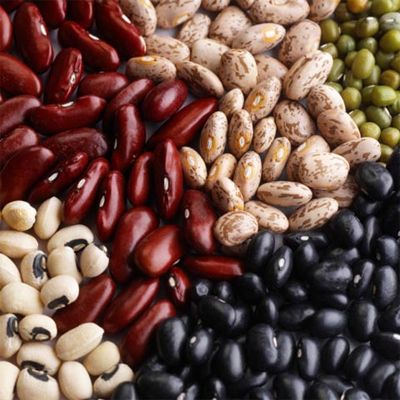 image of many different kinds of beans