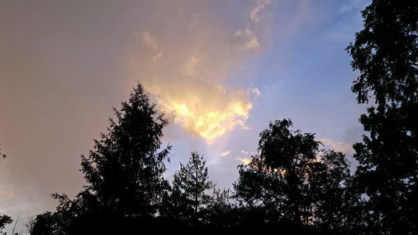 image of a sky, cloudy on one half, sunny on the other, above trees
