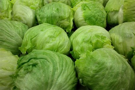 image of a bunch of heads of iceberg lettuce
