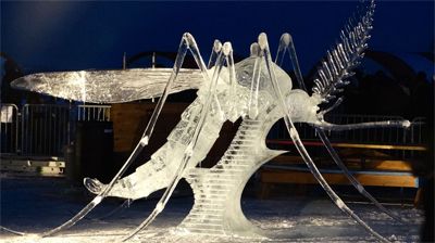 image of an ice sculpture of a wasp