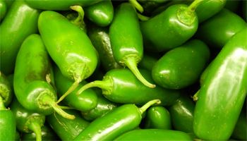 image of jalapeno peppers