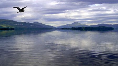 image of Loch Lomond in Scotland