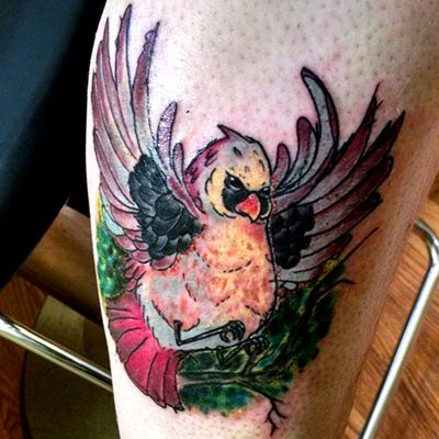image of a tattoo on masculine_lady's calf: a fat female cardinal with its wings raised and a 'come at me bro' expression on its face