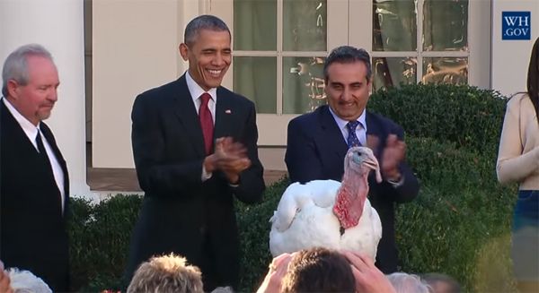 image of President Obama at the White House, applauding the turkey he'd just pardoned