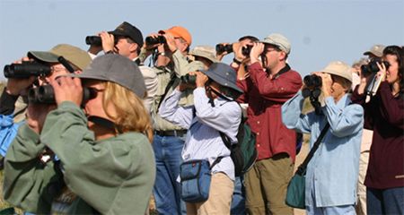 image of a group of people standing and holding binoculars and all looking in the same direction