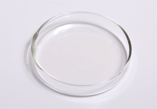 image of a clean Petri dish
