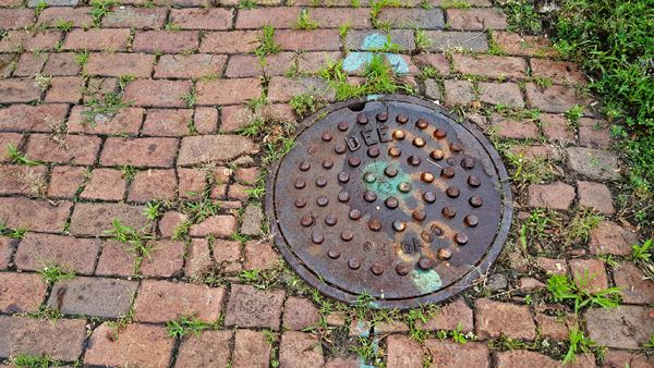 image of a personhole cover in a brick pathway, with grass overgrowing the area