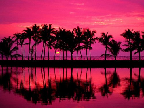 image of a pink sunset at the beach