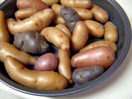 image of small brown, purple, and red potatoes