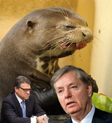 image of an otter making a sour face while eating a watermelon, with a tiny picture of Rick Perry pouting in the bottom left corner and a small picture of Lindsey Graham looking vaguely stricken in the bottom right corner