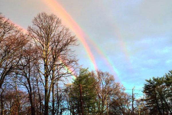 image of a quadruple rainbow in a blue sky over trees on Long Island, NY